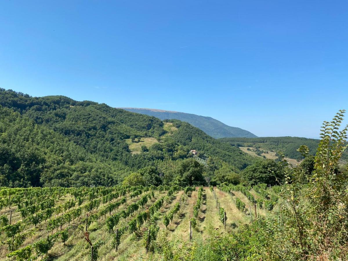 Agriturismo Le Case Assisi Exterior photo
