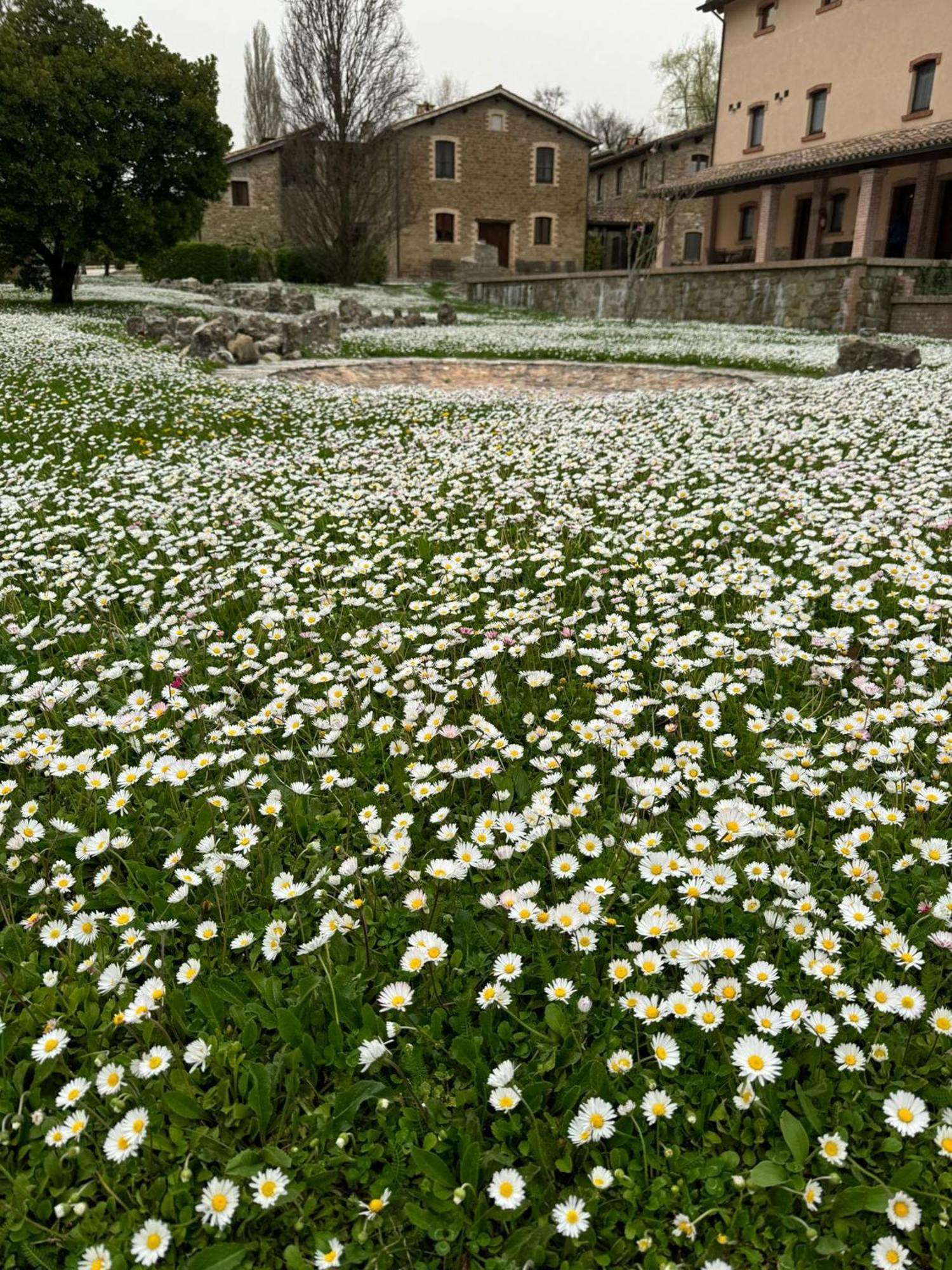 Agriturismo Le Case Assisi Exterior photo